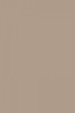 FARROW AND BALL DOVETAIL NO. 267 PAINT